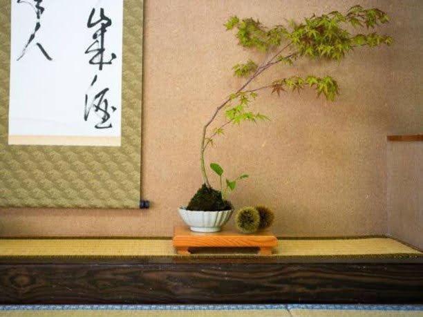 Ryokan Misato Minamioguni Exterior foto